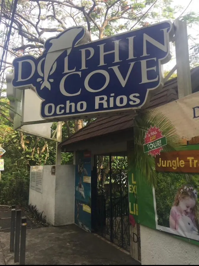 Mystic Mountain Apartment Ocho Ríos 0*,  Jamaïque